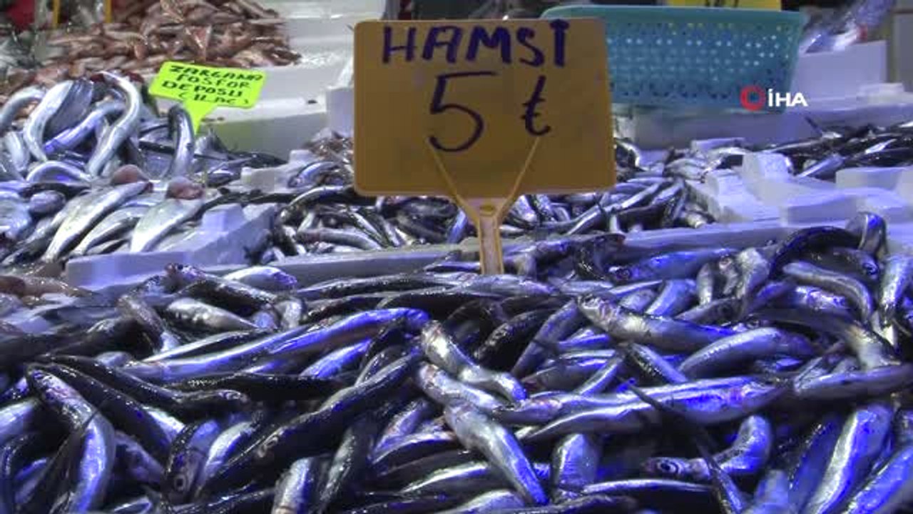 Dün 30 Liraya Satılan Hamsi Bugün 5 Liraya Düştü