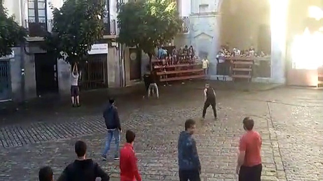 Un homme fait le malin avec un taureau et se prend un bon gros KO