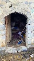 HDP Milletvekili Kaçmaz: Hızını alamayan AKP seçmenlerini ‘ahırlara' kaydetti