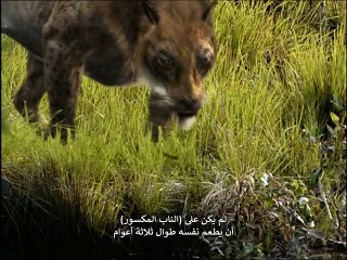 برفقة حيوانات ما قبل التاريخ ح5