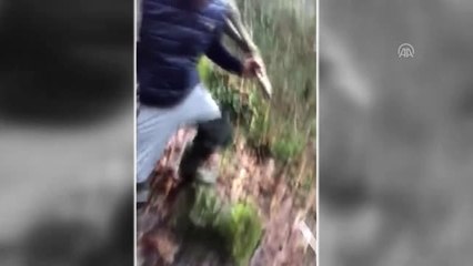 Dereye Düşen Karaca Kurtarıldı