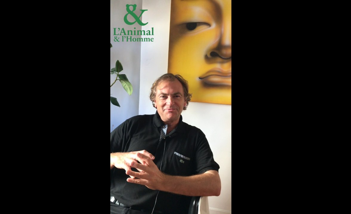 Interview 5 de Didier Van Cauwelaert : Les abeilles ont inventé la flexibilité de l’emploi