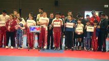 Türkiye Açık Kick Boks Turnuvası başladı - ANTALYA