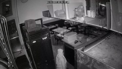 Security Camera Catches Suspicious Sneaking