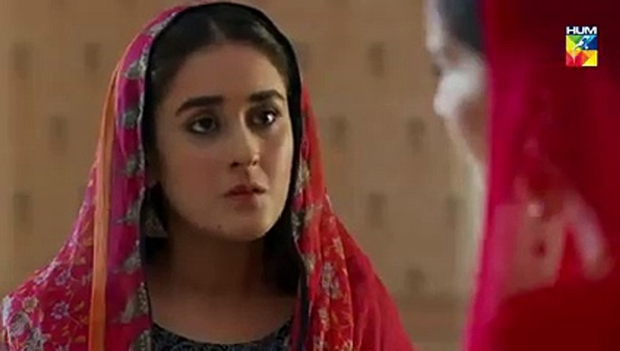 Bisaat e Dil Epi 24 HUM TV Drama 15 January 2019