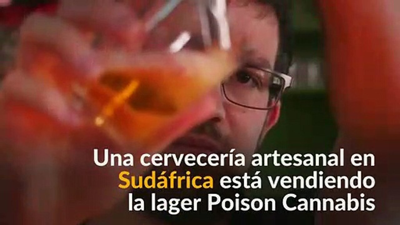 Sudáfrica elabora cerveza con sabor a cannabis