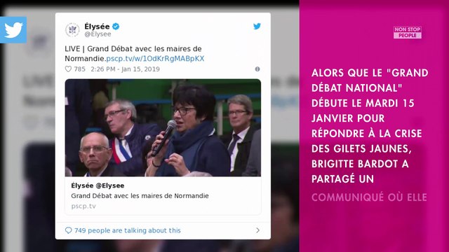 Brigitte Bardot : son coup de gueule contre le grand débat national