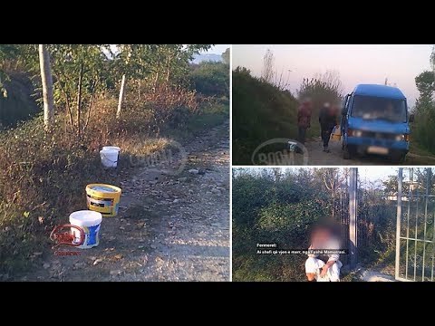 Investigimi i BOOM: Qumështi i baxhove jashtë kontrollit edhe në Fushë Mamurras