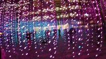 Stunning Winter Lights Festival illuminates Canary Wharf