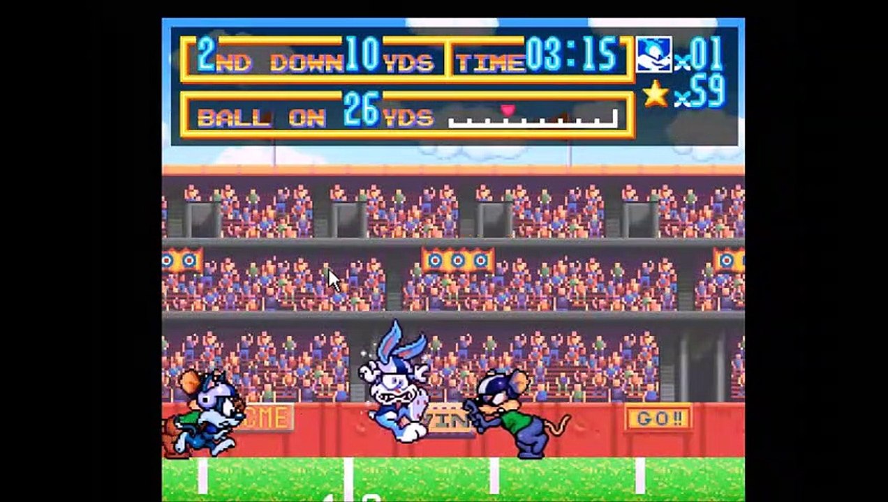 Tiny Toon Adventures: Buster Busts Loose