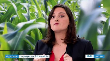 Dangerosité du glyphosate : soupçon de plagiat sur un document européen