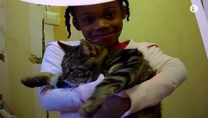 Welke straf voor dierenbeul?