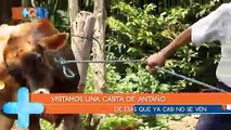 +QN-Volvamos al pasado con las vacas afuera de la casa- 1501119