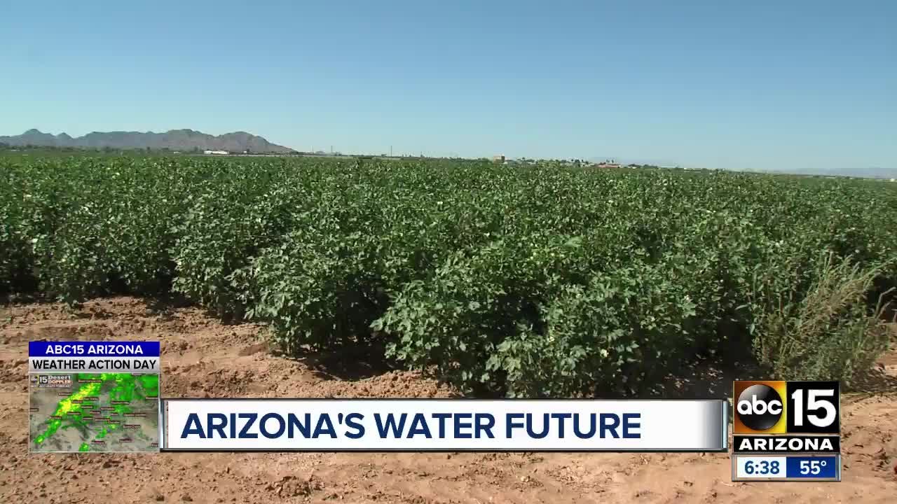 Arizona farmers watching closely as politicians...