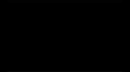 ✬✬The Brawler✬✬