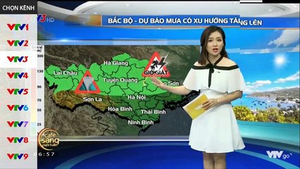 Box VTVGo - VTV mọi nơi, mọi lúc, miễn phí