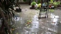Adana'da Şiddetli Yağış Sonrası Evleri Su Bastı