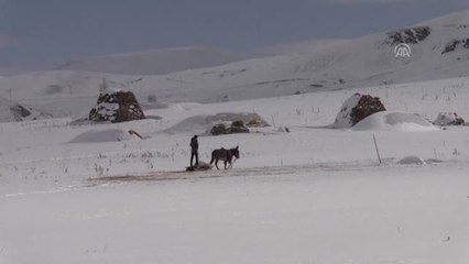 Doğu Anadolu'da Kış - Van