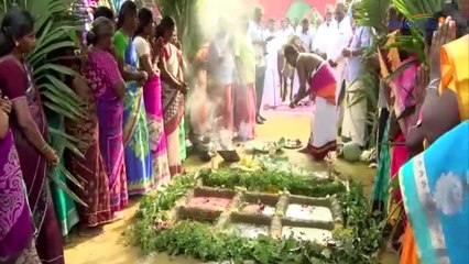 கோவை வேளாண் பல்கலை.யில் பொங்கல் கொண்டாட்டம்…வீடியோ