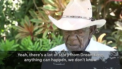 Australian Animals 2