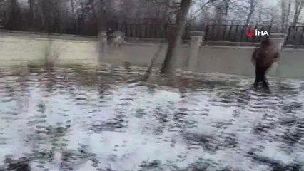 Duvardan Atlamak İsterken Demir Parmaklıklara Sıkışan Köpeği Ekipler Kurtardı