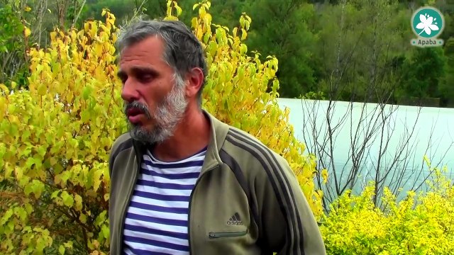 Terr'Eau Bio - Les Engrais Verts en Maraîchage Biologique