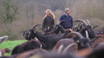 Environs - Les 15 ans de « Terre de Liens »