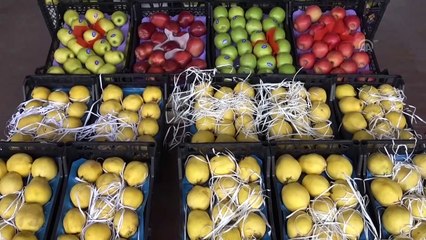 Rusya'ya ihracat yüzleri güldürdü - TRABZON