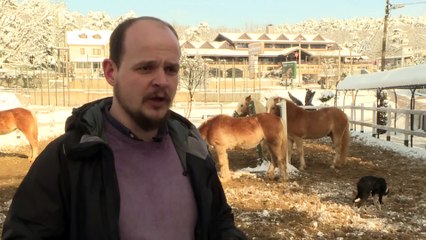 Uludağ'ın karlı eteklerinde atla gezinti turizmi - BURSA