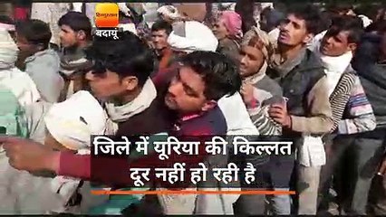 किसानों की नहीं सुन रहे ‘सरकार, यूरिया किल्लत बरकरार