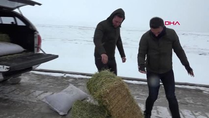 Şanlıurfa Siverek'te Yaban Hayvanları İçin Doğaya Yem Bırakıldı