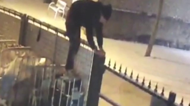 Ce (mauvais) voleur va connaitre une énorme humiliation !