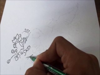 Dibujando aves con plumas de colores