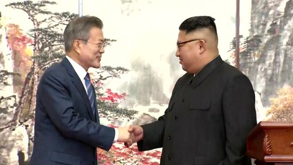 "북미정상회담 2월 하노이로 잠정 결정"...김정은 서울 답방은 3·1절? / YTN