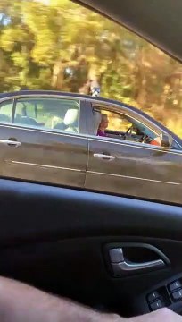 Ce chien aime sortir sa tête par la fenêtre de voiture