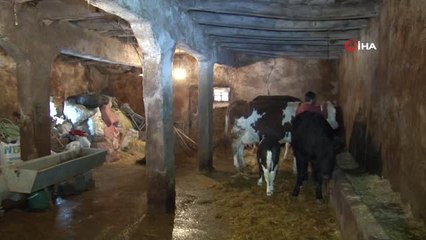 Atanamayan Öğretmen Adayı Çareyi Köyünde Buldu