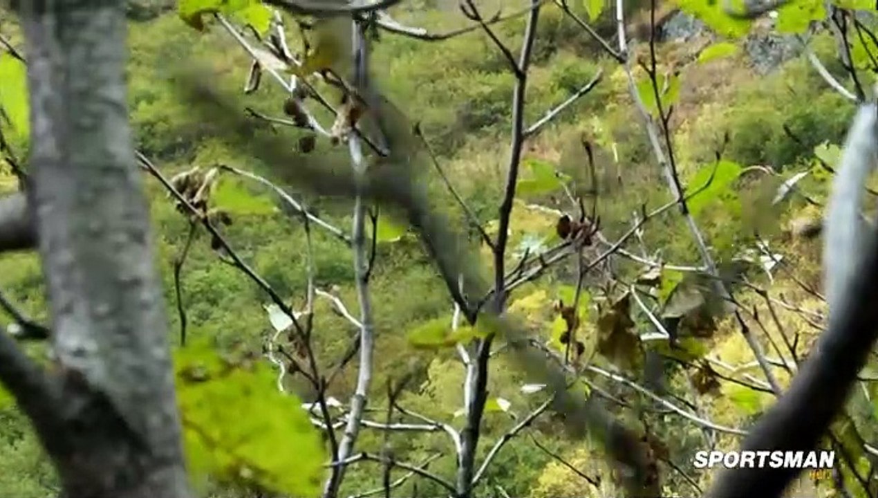 MeatEater.S01E08.The.Rugged.Peaks-Alaskan.Mountain.Goat.HDTV.x264