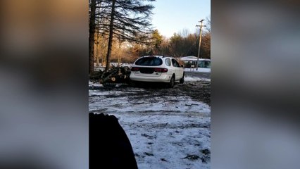 Tala un árbol y... lo paga este vehículo: no creerás cómo quedó