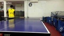 Table tennis whiz reveals his 100 best trick shots