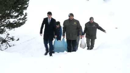 Zigana Dağı'nda Yaban Hayvanları Unutulmadı