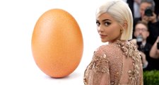Beğeni Rekoru Kıran Yumurta Görselinin Ticari Hamle Olduğu Ortaya Çıktı