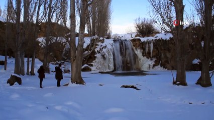 Muradiye Şelalesi dondu