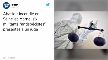 Abattoir incendié en Seine-et-Marne. Six militants de la cause animale mis en examen