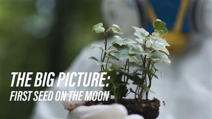 Soon, astronauts might be able to harvest food on the moon
