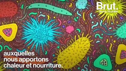 Parasites, virus, bactéries… Tous ces microbes ne nous veulent pas forcément du mal