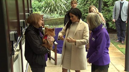 Meghan plays with dogs as new patron of animal charity