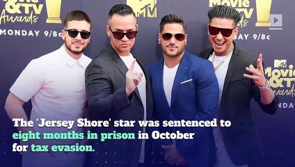 Mike 'The Situation' Sorrentino Begins Jail Sentence