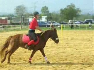 pony-games les funambules au pouget
