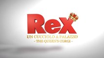 REX UN CUCCIOLO A PALAZZO (2019) italiano Gratis