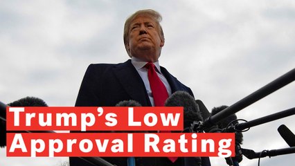 Descargar video: Donald Trump Approval Rating Average Lowest Since World War II